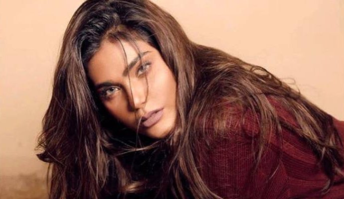 বিমান দুর্ঘটনায় পাকিস্তানি মডেলের মৃত্যু