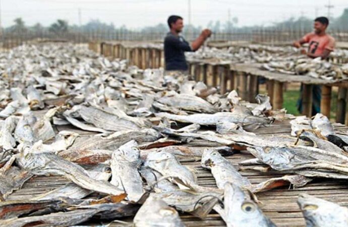 চট্টগ্রাম থেকে শুঁটকি রপ্তানিতে ধারাবাহিক বৃদ্ধি