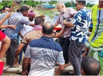 দৌলতপুরে বন্যাদুর্গতদের জন্য বিএনপি ত্রাণ বিতরণ