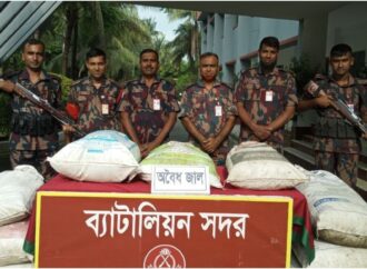 কুষ্টিয়ার দৌলতপুর সীমান্তে বিজিবির অভিযানে মাদকসহ দুই যুবক আটক