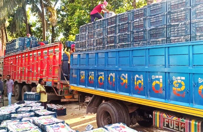 হিলি বন্দর দিয়ে টমেটো আমদানি শুরু