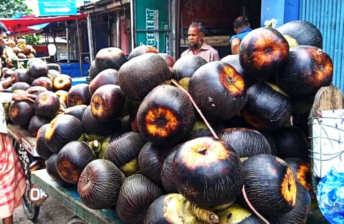 পঞ্চগড়ে ভাদ্র মাসে তাল ফলের বিক্রি বেড়েছে