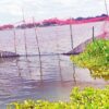 দখল ও দূষণে বিপন্ন হচ্ছে গোপালগঞ্জের প্রাকৃতিক খাল-বিলগুলো
