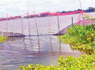 দখল ও দূষণে বিপন্ন হচ্ছে গোপালগঞ্জের প্রাকৃতিক খাল-বিলগুলো