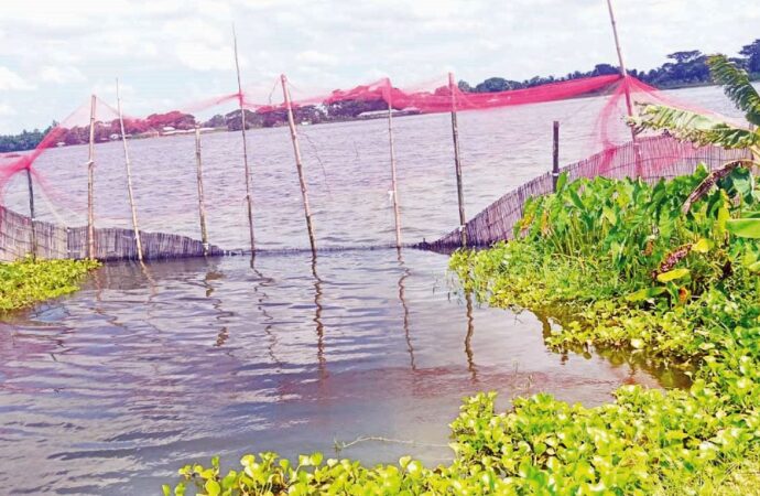 দখল ও দূষণে বিপন্ন হচ্ছে গোপালগঞ্জের প্রাকৃতিক খাল-বিলগুলো