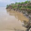 ভেড়ামারায় পদ্মা নদীতে ভাঙ্গন মারাত্মক আশংকা