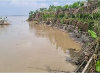ভেড়ামারায় পদ্মা নদীতে ভাঙ্গন মারাত্মক আশংকা