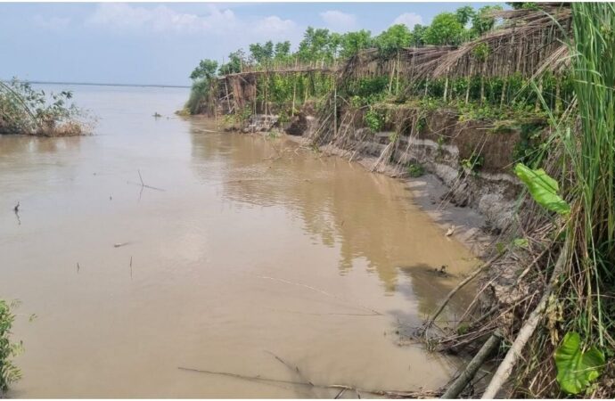 ভেড়ামারায় পদ্মা নদীতে ভাঙ্গন মারাত্মক আশংকা