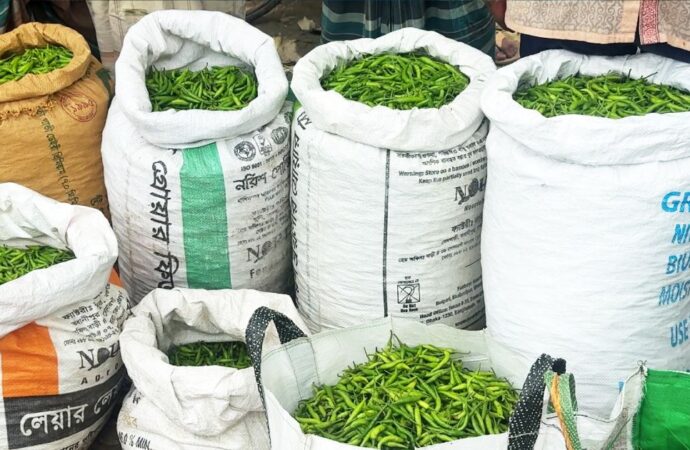 নওগাঁর মোমনিপুর হাঁটে প্রতি মাসে আড়াই কোটি টাকার কাঁচা মরিচ ব্যবসা