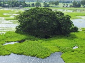 আধ্যাত্মিকতার আড়ালে গোপালপুরের জুগীর ঘোপায় গোপন মাদক ব্যবসা