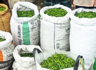 নওগাঁর মোমনিপুর হাটে প্রতি মাসে আড়াই কোটি টাকার কাঁচা মরিচ বিক্রি