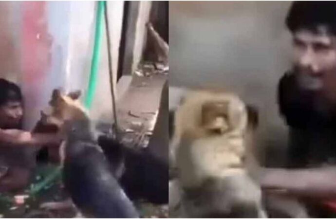 কুমিল্লায় চুরির অভিযোগে যুবককে কুকুর লেলিয়ে নির্যাতন, আটক ৩