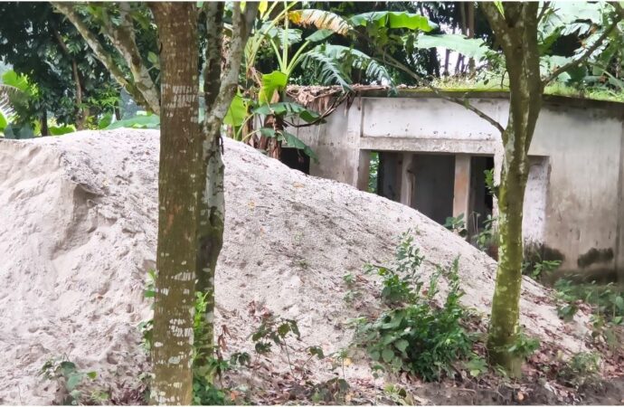 ৩১ বছর পর বামন্দী পশু হাসপাতাল চালুর দাবি জেলাখামারি ও ব্যবসায়ীদের