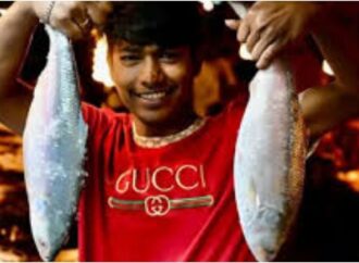 ভারতে বাংলাদেশের ইলিশের জন্য কাড়াকাড়ি শুরু