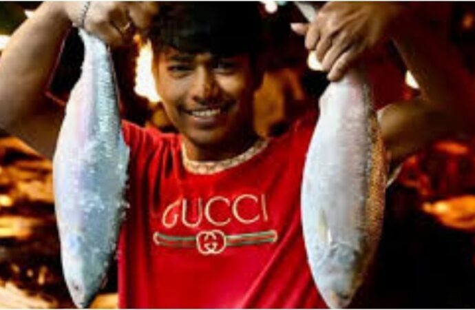 ভারতে বাংলাদেশের ইলিশের জন্য কাড়াকাড়ি শুরু