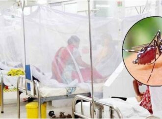 ডেঙ্গুতে আরও ৫ জনের মৃত্যু, হাসপাতালে ভর্তি ৬৬৮