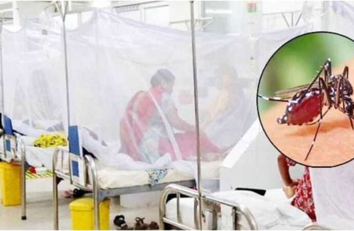 ডেঙ্গুতে আরও ৫ জনের মৃত্যু, হাসপাতালে ভর্তি ৬৬৮
