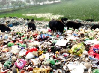 নড়াইলের ক্লিন নড়াইল, ড্রিম নড়াইল প্রকল্পের দুর্গন্ধে গ্রামবাসীর মুখে নিষেধাজ্ঞা