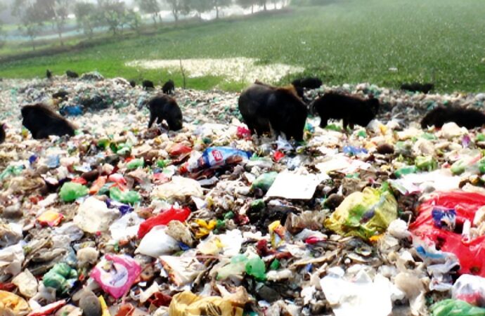 নড়াইলের ক্লিন নড়াইল, ড্রিম নড়াইল প্রকল্পের দুর্গন্ধে গ্রামবাসীর মুখে নিষেধাজ্ঞা