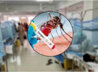 ডেঙ্গুতে তিনজনের মৃত্যু, হাসপাতাল ভর্তি ৭৩৫