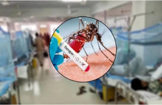ডেঙ্গুতে তিনজনের মৃত্যু, হাসপাতাল ভর্তি ৭৩৫