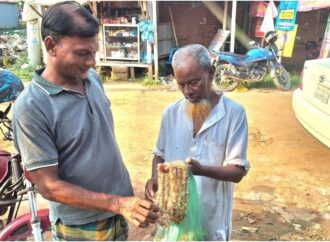 বৃদ্ধ রশিদ মিয়া ফুলের মালা বিক্রি করে জীবন চালান