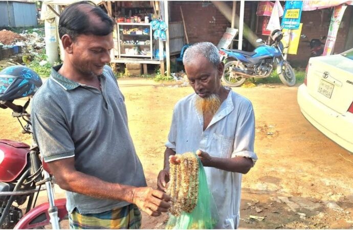 বৃদ্ধ রশিদ মিয়া ফুলের মালা বিক্রি করে জীবন চালান
