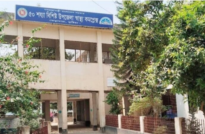 ভেড়ামারা উপজেলা স্বাস্থ্য কমপ্লেক্সে জরুরি জনবল ও নৈতিকতা সংকট, রোগীরা ক্ষতিগ্রস্ত