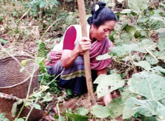 মধুপুর গড় থেকে হারিয়ে যাচ্ছে বিভিন্ন প্রাকৃতিক বন আলু