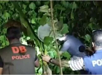 পরপর কন্যা সন্তানের জন্মের পর নবজাতককে খালে ফেলে দেওয়ার অভিযোগ