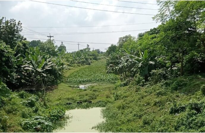 জয়পুরহাটে খননের তিন বছর পর שוב ভরাট হচ্ছে চিরি নদী