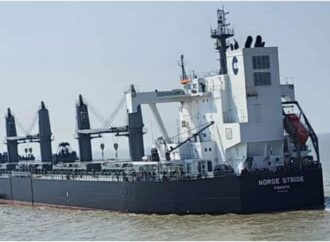 আমেরিকা থেকে প্রথমবারের মতো সরকারিভাবে গম আমদানি শুরু