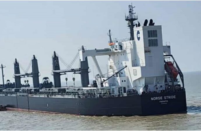 আমেরিকা থেকে প্রথমবারের মতো সরকারিভাবে গম আমদানি শুরু