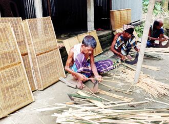 সরিষাবাড়িতে মাছ ধরা ডারকি, চাঁই ও পলো হারিয়ে যাচ্ছে বাংলার ঐতিহ্য