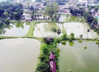 নওগাঁর সরকারি মৎস্য খামারে রেনুর চাহিদা বাড়ছে, তবে উৎপাদন ব্যাহত