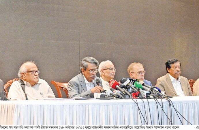 জাতীয় নির্বাচনের আগে বা দিনে গণভোটের সুপারিশ