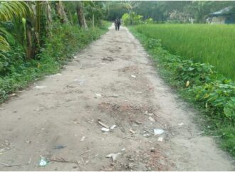 কমলনগর হাওলাদারপাড়া–বারঘর সড়ক ৪০ বছরেও পাকা হয়নি
