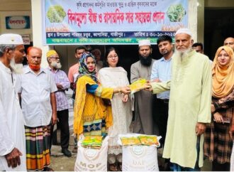 কাপাসিয়ায় বিনামূল্যে কৃষকের জন্য বীজ ও সার বিতরণ