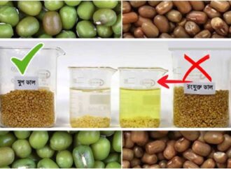 বাজারে ক্ষতিকর রঙ মেশানো ‘মুগ’ ডাল! সতর্ক করেছে খাদ্য নিরাপত্তা কর্তৃপক্ষ
