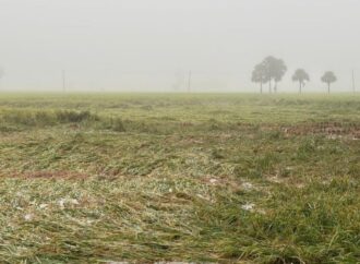 জয়পুরহাটে অসময়েআর বৃষ্টিতে ফসলের ক্ষতির আশঙ্কা কৃষকদের