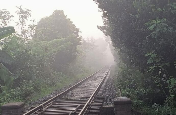 শীতের আগমনী বার্তা: রাজশাহীতে সর্বনিম্ন তাপমাত্রা ২২.২ ডিগ্রি