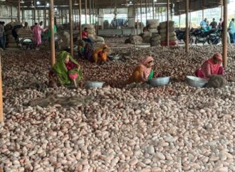 জয়পুরহাটের হিমাগারে ৩৪ লাখ বস্তা আলু, কৃষক ও ব্যবসায়ীদের কোটি কোটি টাকার ক্ষতি