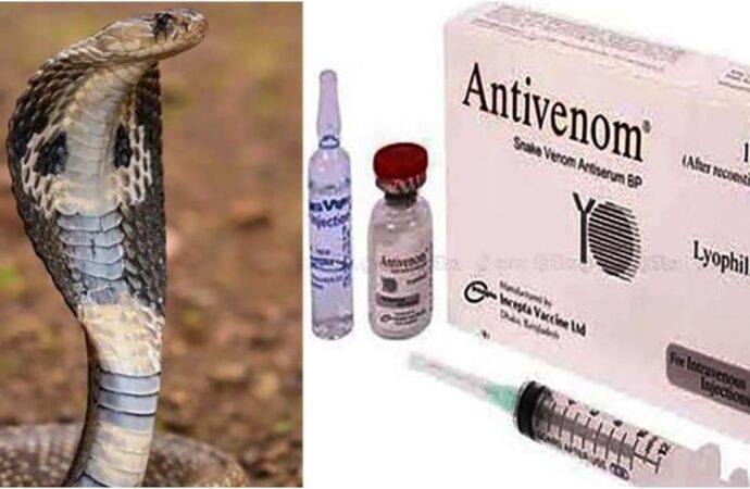 সব হাসপাতালে সাপের কামড়ের অ্যান্টিভেনম পাঠানোর নির্দেশ দিলো স্বাস্থ্য মন্ত্রণালয়