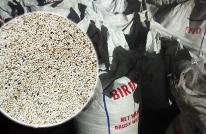 পাকিস্তান থেকে আসা কনটেইনারে ২৫ টনের নিষিদ্ধ পপি সিড উদ্ধার