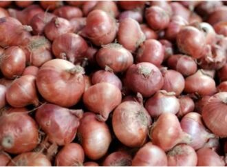 পেঁয়াজের দাম নিয়ন্ত্রণে আমদানির হুঁশিয়ারি ও সুপারিশ