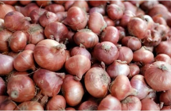 পেঁয়াজের দাম নিয়ন্ত্রণে আমদানির হুঁশিয়ারি ও সুপারিশ