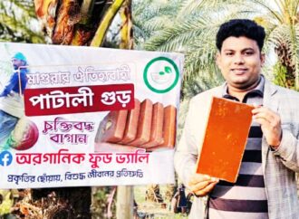 মাগুরায় নার্স সিজানের ভেজালমুক্ত পাটালি ও গুড় তৈরির উদ্যোগ