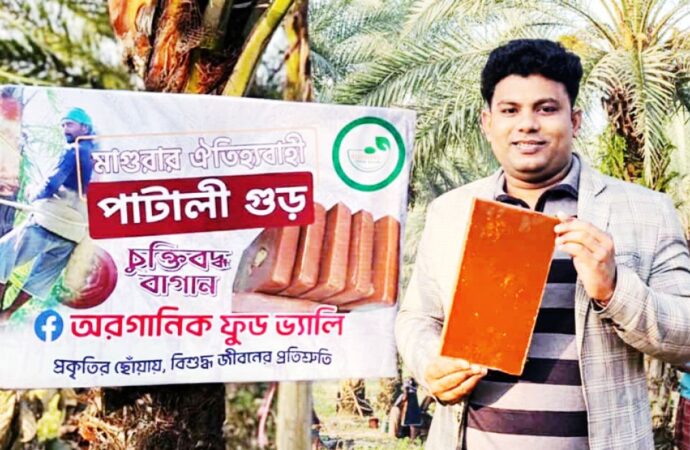 মাগুরায় নার্স সিজানের ভেজালমুক্ত পাটালি ও গুড় তৈরির উদ্যোগ