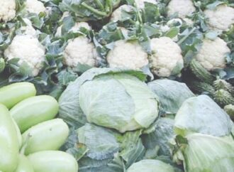 বাজারে মৌসুমি সবজির সরবরাহ বৃদ্ধি, দাম কমছে