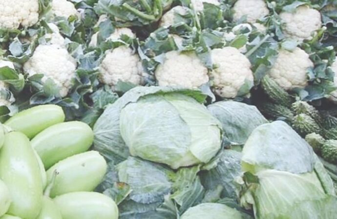 বাজারে মৌসুমি সবজির সরবরাহ বৃদ্ধি, দাম কমছে